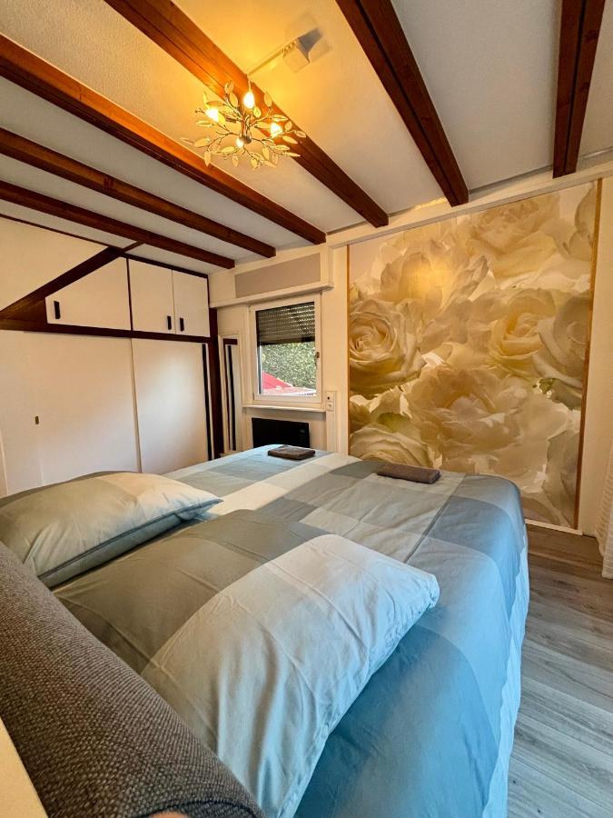 Ferienhaus Veronika Odenwald Brensbach Экстерьер фото